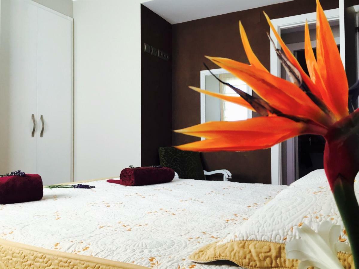 Lo Raconet Appartement Deltebre
